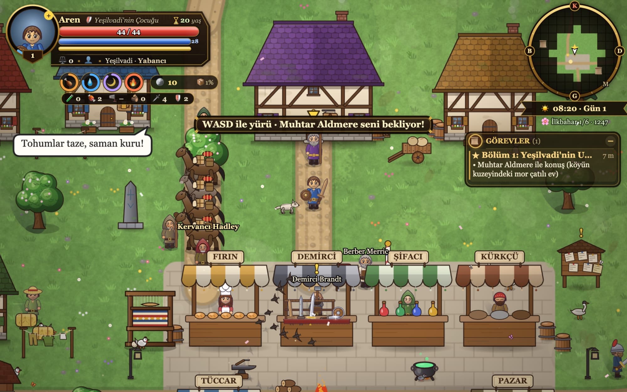 Path to the Crown — a village market seen from above, with quest panel and minimap