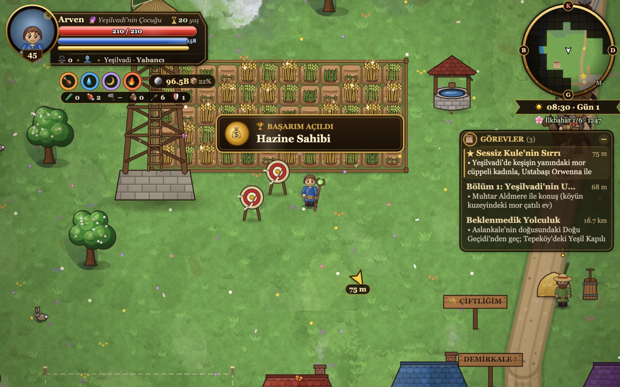 The player's farm plot with rows of wheat at different growth stages, a well and a watchtower nearby