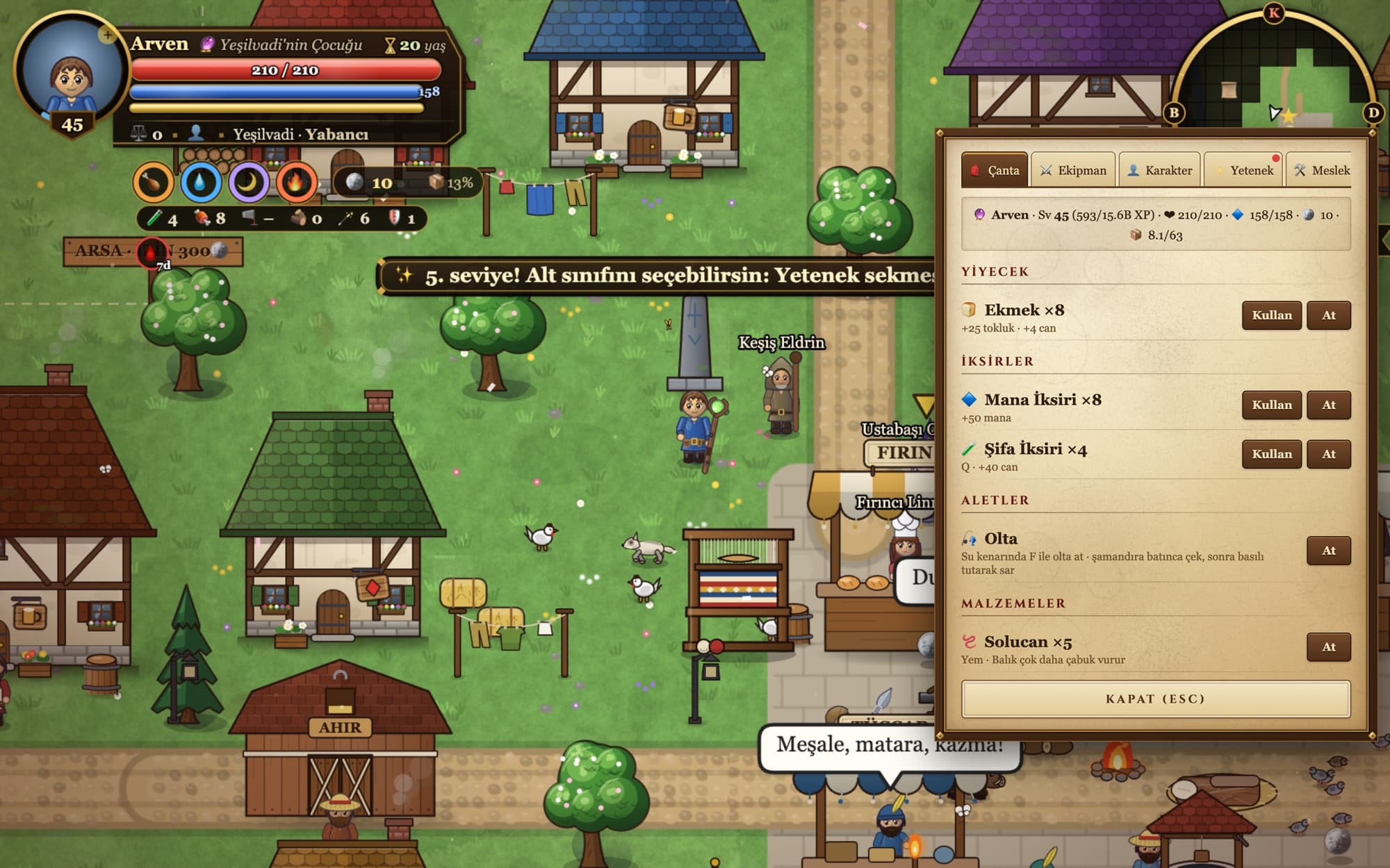 Inventory panel open over the village, listing food, mana and healing potions, a fishing rod and bait with use buttons